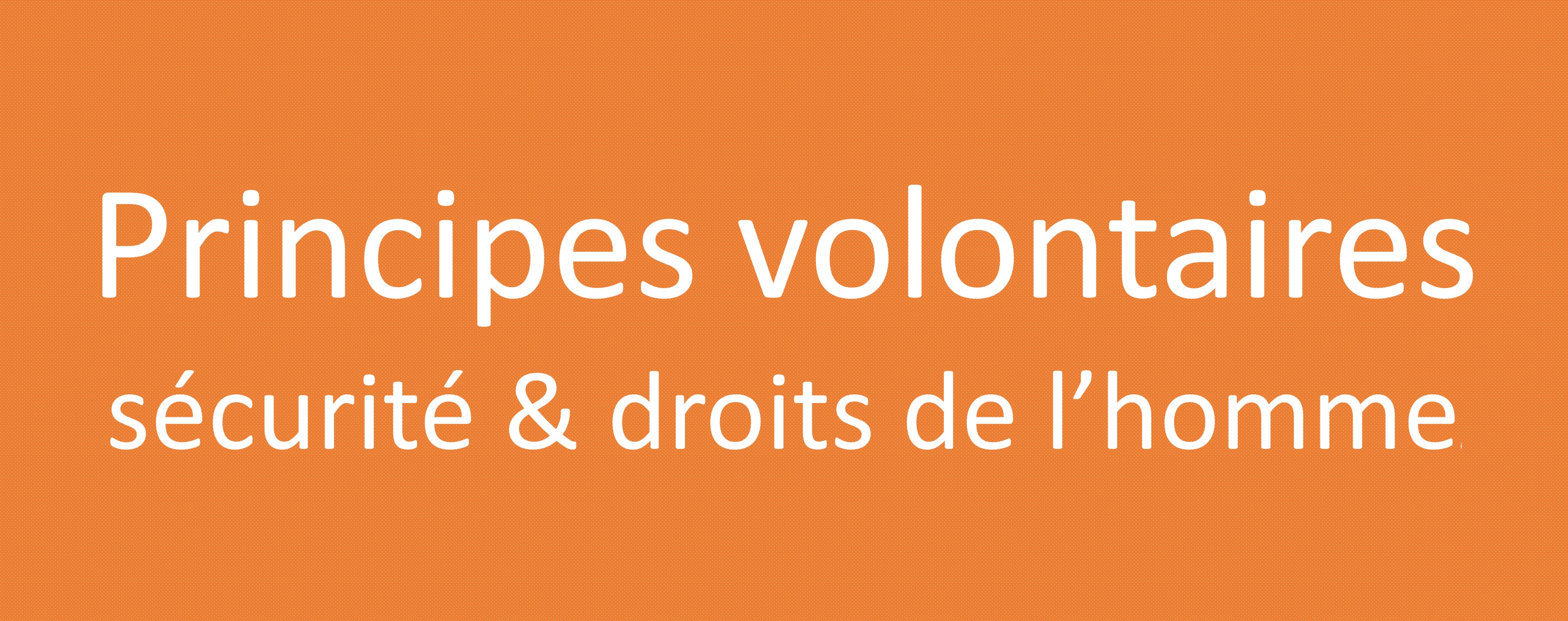 Les Principes volontaires sur la sécurité et les droits de l'homme